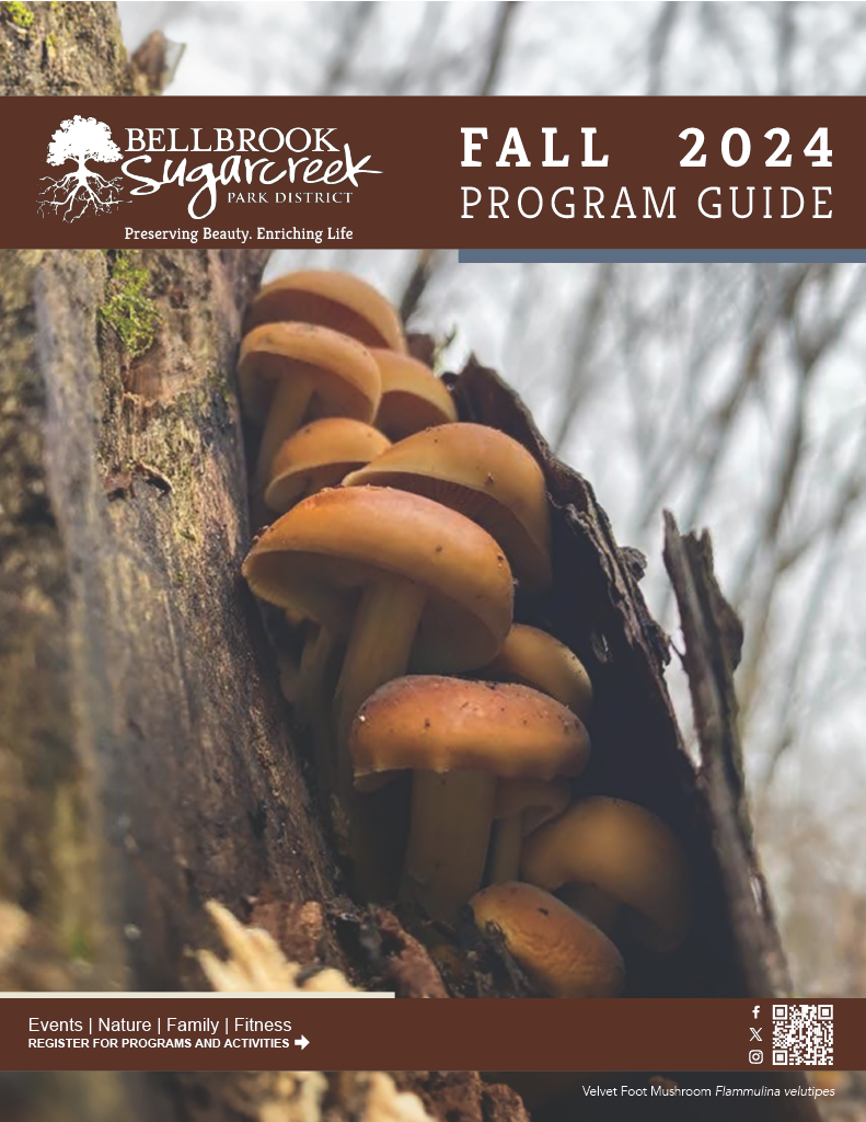 Park Newsletter and Program Guide Bellbrook Sugarcreek Parks District